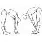 Суставная гимнастика Амосова: комплекс упражнений, особенности и отзывы Амосов гимнастика 1000 движений